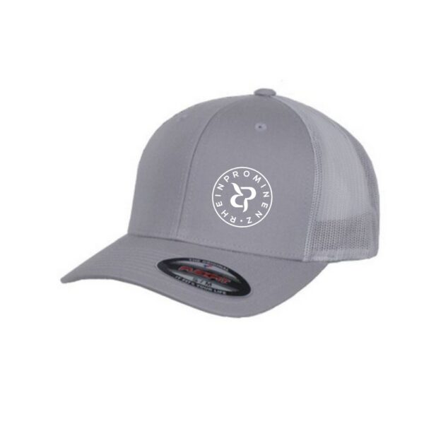 Flexfit Mash Cap Silber